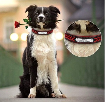 Идентификатор кожаного воротника идентификатор Grawer S