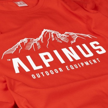 Koszulka T-shirt Alpinus Mountains r. S