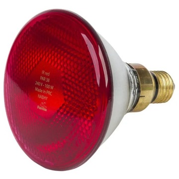 Promiennik PAR 100W czerwony.