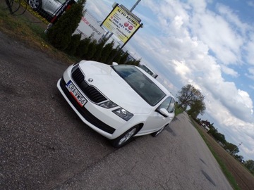 Skoda Octavia III Liftback Facelifting 1.6 TDI 115KM 2019 SKODA OCTAWIA 1.6 TDI 115 KM ZAREJESTROWANA, zdjęcie 1