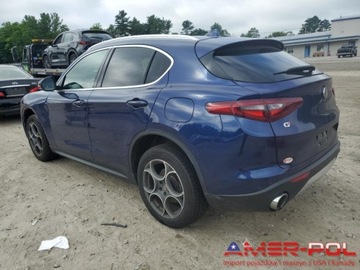 Alfa Romeo Stelvio SUV 2.0 Turbo 280KM 2019 Alfa Romeo Stelvio _4x4_2.0 L_280 km_2019r 2.0 Benzyna 280KM, zdjęcie 2