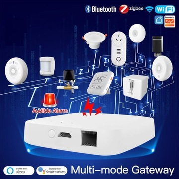 Центральный шлюз-концентратор ZigBee TUYA Mesh Wired