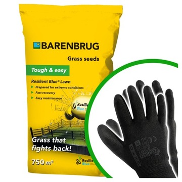 Barenbrug Resilient Blue Lawn 15kg uniwersalna