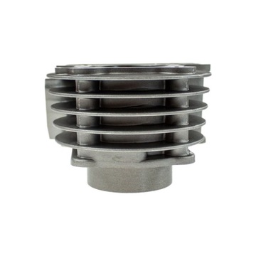 Самый большой ремкомплект двигателя 139QMB 80см3 китайских скутеров LUX 4T