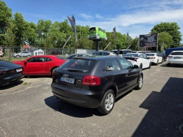 Audi A3 8P Hatchback 3d 1.6 102KM 2009 Audi A3 3-drzwiowe 1.6 MPI 102 KM, Daylight LED,, zdjęcie 4