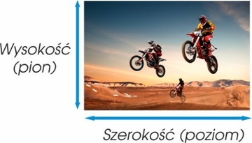 Постер 70х50 мотоциклы, мотоцикл, мотоцикл, Чоппер,