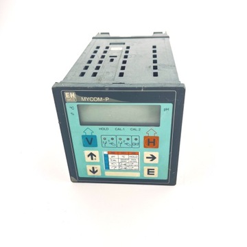 ENDRESS+ HAUSER CPM121-P31A00