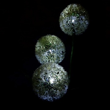 Подключаемая солнечная лампа DANDELIES LED цветочная лампа SOLAR GARLIC FLOWERS
