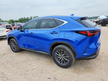 Lexus NX II 2025 Lexus NX 2025 LEXUS NX 250 BASE 2.5 Benzyna 203KM, zdjęcie 2
