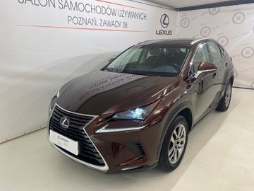 Lexus NX I SUV Facelifting 300 238KM 2018 Lexus NX