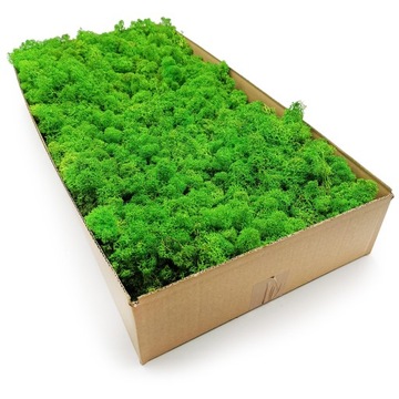 Альпийский мох 500г.