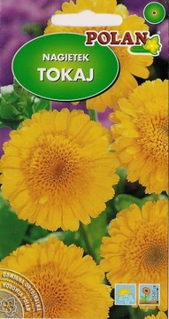 NAGIETEK TOKAJ ŻÓŁTY 3g nasiona kwiatów !