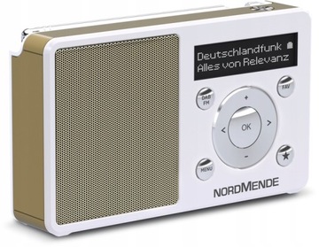 RADIO CYFROWE PRZENOŚNE DAB+ FM Z RDS TRANSITA 100