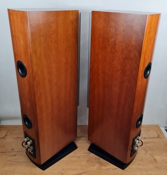 Dali Mentor 6 - колонки