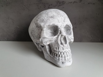 Череп Голова Хэллоуин БОЛЬШОЙ 20 см XXXL