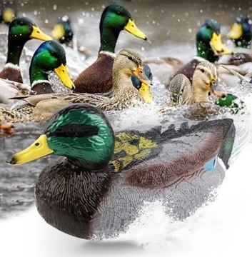 RC ЛОДКА DUCKS С ДИСТАНЦИОННЫМ УПРАВЛЕНИЕМ