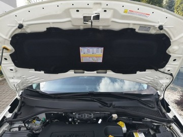 Fiat Tipo II Station Wagon 1.6 MultiJet 120KM 2017 Fiat Tipo 1.6 Multijet 120KM Klimatr Navi Kamera, zdjęcie 23