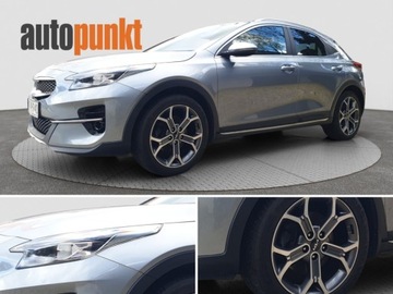Kia XCeed Crossover 1.5 T-GDI 160KM 2021 Kia XCeed Kia XCEED 1.5 T-GDI Business Line 1.5 Benzyna 160KM, zdjęcie 25