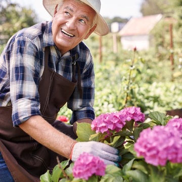БАЗАЛЬТОВЫЙ ШРОТ 10КГ УДОБРЕНИЕ ДЛЯ ВЕСЕННИХ ТРАВ, ГИДРЕНЗИОННЫХ ЦВЕТОВ, ПОМИДОРОВ