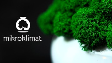 Вазон с мхом разных цветов МИКРОКЛИМАТ