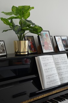 золотое УКРАШЕНИЕ POINSENCE ПОДАРОЧНОЕ ОБЛОЖКА ДЛЯ ДОМА 12