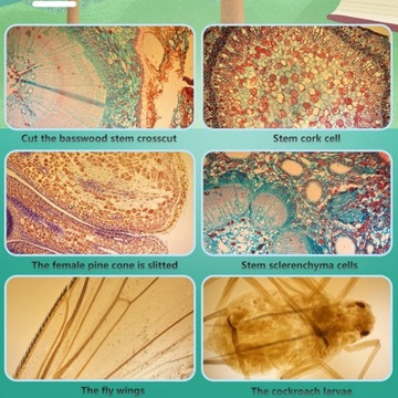 Объектив urowe 400X раз для Iphone 11 Pro Max и т. д.