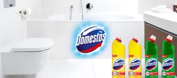 Domestos Set Гель-туалетная жидкость MIX 4х1000мл