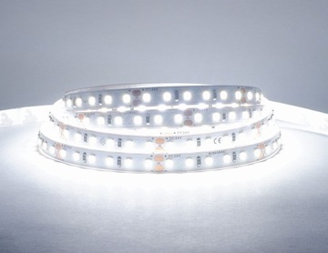 Taśma 120LED Dzienna 5000K/Ra90 9,6W/24V 8mm*5m GW3 RISHANG