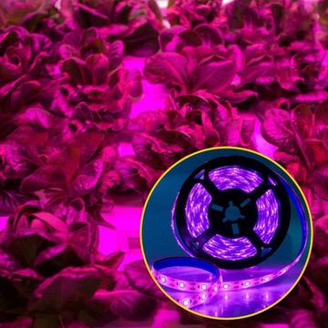 TAŚMA LED OŚWIETLENIE DO WZROSTU UPRAWY ROŚLIN UV WODOODPORNA 100CM 60LED