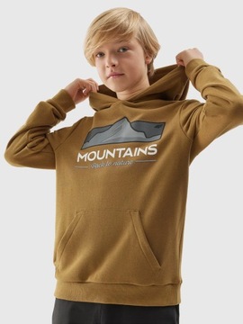 СВИТШОТ С КАПЮШОНОМ 4F ДЛЯ МАЛЬЧИКОВ AW23M634