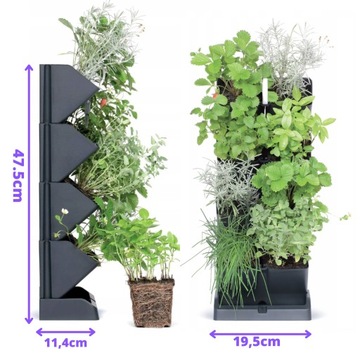 OGRÓD WERTYKALNY 2xDONICZKA KASKADA MODUŁOWA ZIOŁA