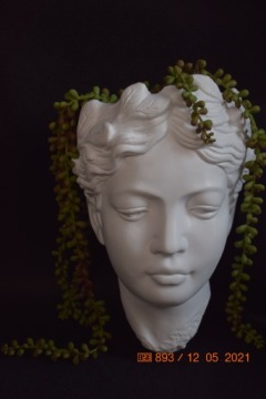 Подвесной вазон, крышка на голову