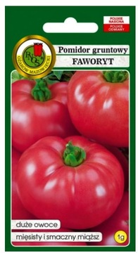 POMIDOR GRUNTOWY FAWORYT BARDZO DUŻE OWOCE DW2027R