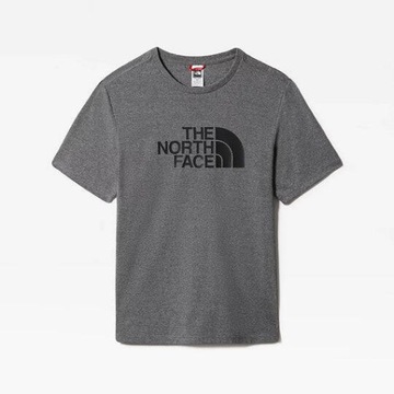 Koszulka The North Face Half Dome Tee Dark Grey