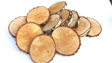 СРЕЗ ДЕРЕВА, КРУГ БЕРЕЗОВОЙ ШТАМПЫ 9-14СМ, 1 ШТ.