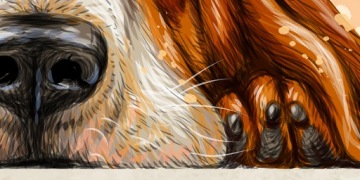 Картина на холсте СОБАКА 10 животных 120х80