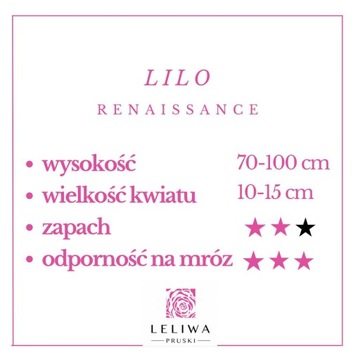 Цветочный горшок LILO Renaissance Fragrant Rose Светло-розовый C5