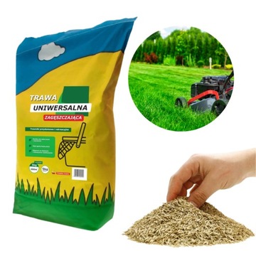 Trawa ogrodowa Arpon 200 m² 5 kg