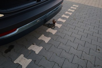 Skoda Karoq Crossover 1.5 TSI ACT 150KM 2019 Skoda Karoq 1.5 TSI ACT DSG Soleil LED Ambiente Hak, zdjęcie 15