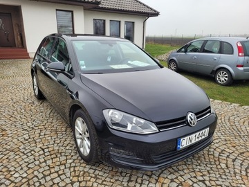 Volkswagen Golf VII Hatchback 3d 2.0 TDI-CR DPF 150KM 2016 VW GOLF VII REZERWACJA !!!, zdjęcie 12