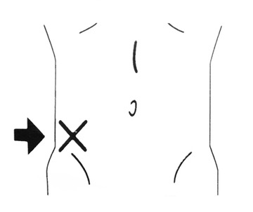 AG565 ИЗМЕРИТЕЛЬ ЖИРОВОЙ ТКАНИ