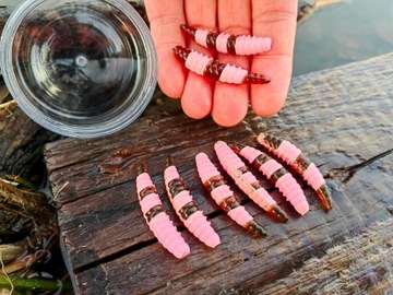8 szt. Larwa Salo 45 mm 1,7 g killer na Pstrągi Trout Area zapach ser #R5