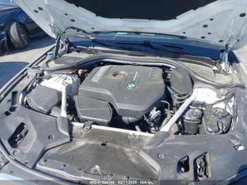 BMW Seria 5 G30-G31 2019 BMW Seria 5 2019 BMW 530I 2.0 Benzyna 248KM, zdjęcie 14