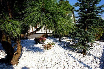 Biały grecki otoczak thassos 30-60 1000 kg kamień śnieżnobiały