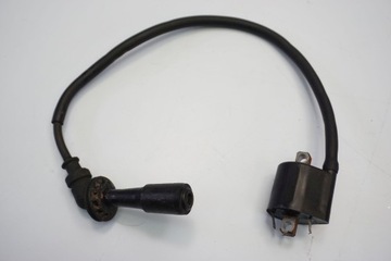 Suzuki DL 1000 V-Strom 17-19 катушка + труба