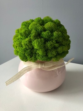 Хроботек в горшке украшение ПОДАРОК ​​ДЛЯ ДОМА