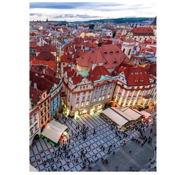 MALOWANIE PO NUMERACH OBRAZ Z RAMĄ DIY ZESTAW PĘDZLE FARBY PŁÓTNO 40x50