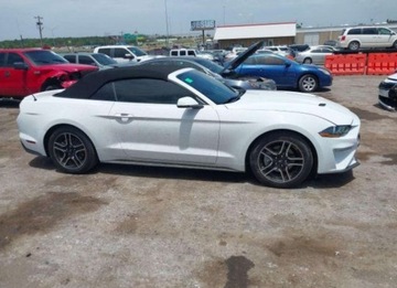 Ford Mustang VI 2020 Ford Mustang 2020, 2.3L, PREMIUM, od ubezpieczalni 2.3 Benzyna 310KM, zdjęcie 3