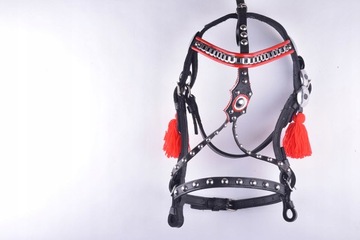 УЗДЕЦКА С КОЖАНОЙ РЕГУЛЬНОЙ ЖГУТОЙ В ПОЛНОМ И РАСШИРЕННОМ ПОЛНОМ РАЗМЕРЕ