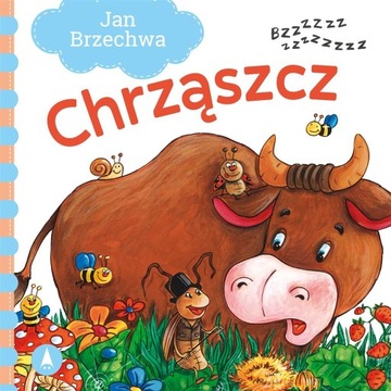 CHRZĄSZCZ Brzechwa książeczka kartonowa bajka